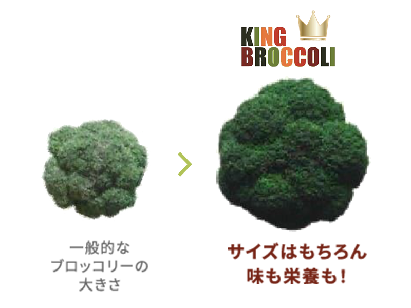 ブロッコリーへのこだわり