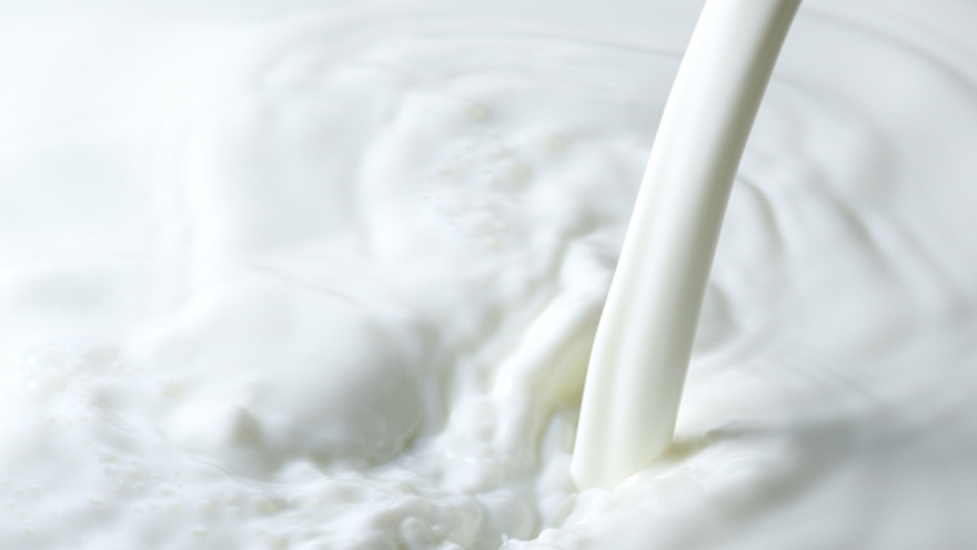 濃密なミルクとバニラの味わい